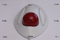 trackball