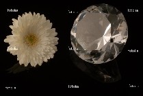 flowers diamonds