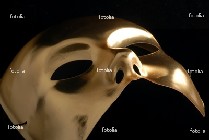 maschera