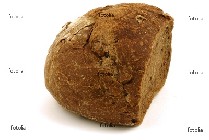 pane