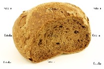 pagnotta