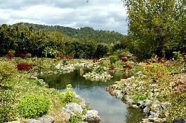 giardino